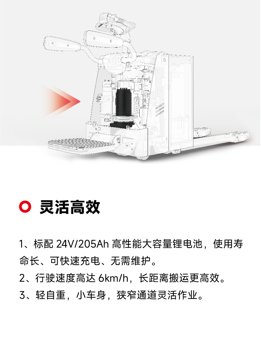 1763876077475286.jpg RPL501-3.jpg